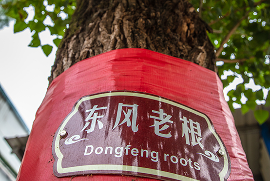 918博天堂老根